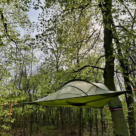 Baumzelt Auf Bio-bauernhof Im Natur- Und Sternenpark Luxuszelt