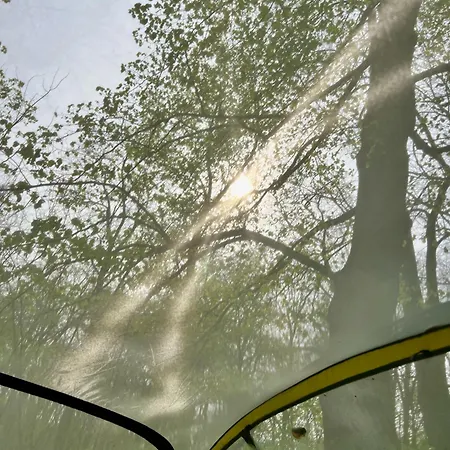 Baumzelt Auf Bio-bauernhof Im Natur- Und Sternenpark *