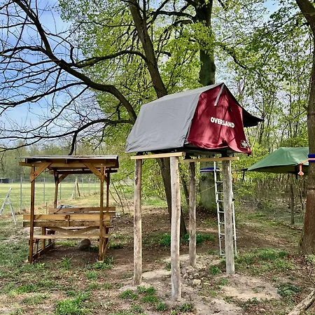 Luxuszelt Baumzelt Auf Bio-bauernhof Im Natur- Und Sternenpark