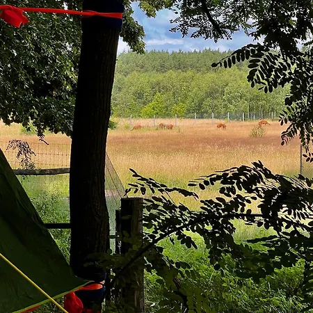 Baumzelt Auf Bio-bauernhof Im Natur- Und Sternenpark * Friesack