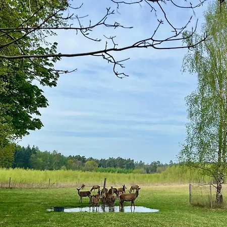 Baumzelt Auf Bio-bauernhof Im Natur- Und Sternenpark Friesack