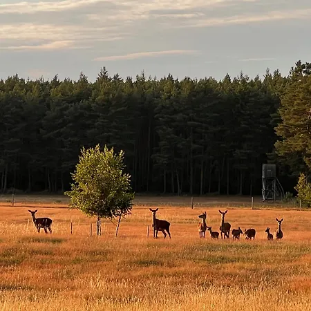 Baumzelt Auf Bio-bauernhof Im Natur- Und Sternenpark *