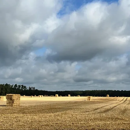 Baumzelt Auf Bio-bauernhof Im Natur- Und Sternenpark
