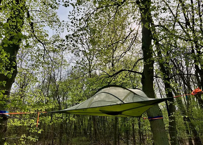 Baumzelt Auf Bio-bauernhof Im Natur- Und Sternenpark ラグジュアリーテント