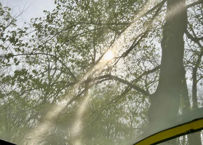 Baumzelt Auf Bio-bauernhof Im Natur- Und Sternenpark *