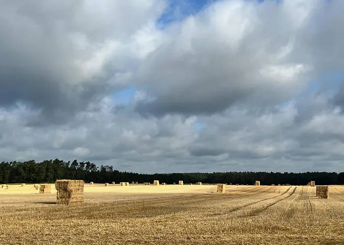 Baumzelt Auf Bio-bauernhof Im Natur- Und Sternenpark